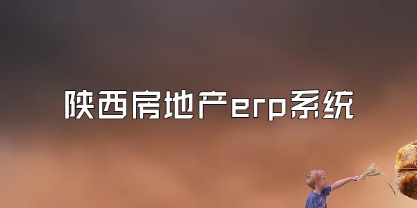 陕西房地产erp系统