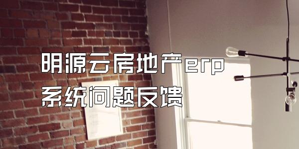 明源云房地产erp系统问题反馈