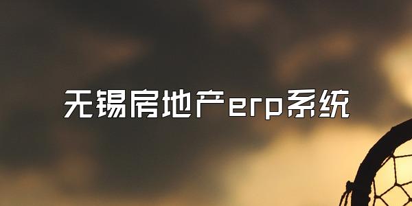 无锡房地产erp系统