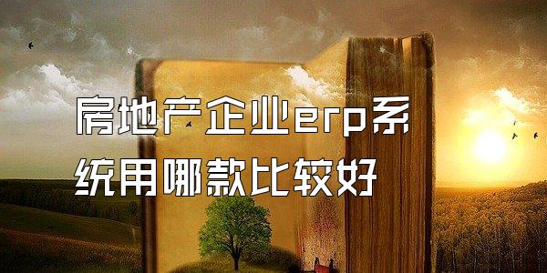 房地产企业erp系统用哪款比较好