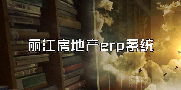 丽江房地产erp系统