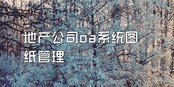 地产公司oa系统图纸管理
