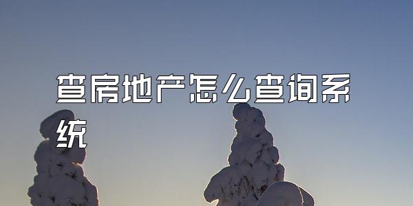 查房地产怎么查询系统