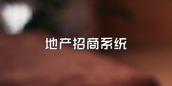 地产招商系统