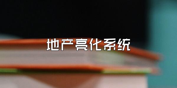 地产亮化系统