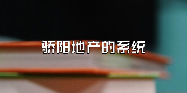 骄阳地产的系统