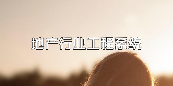 地产行业工程系统