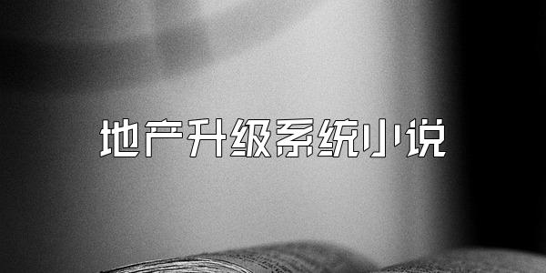 地产升级系统小说