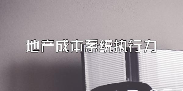 地产成本系统执行力