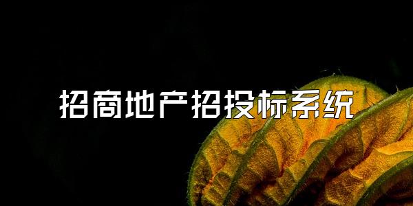 招商地产招投标系统