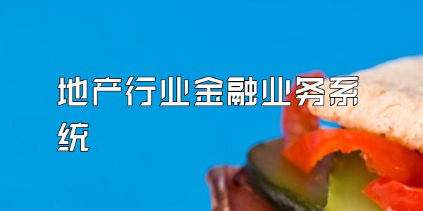 地产行业金融业务系统