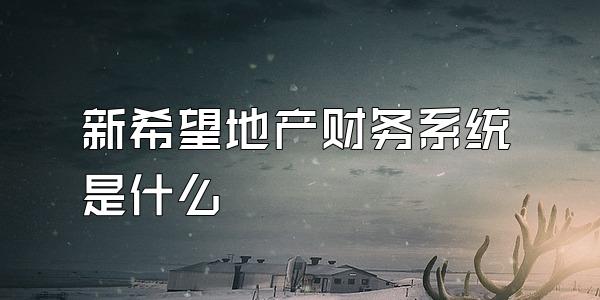 新希望地产财务系统是什么