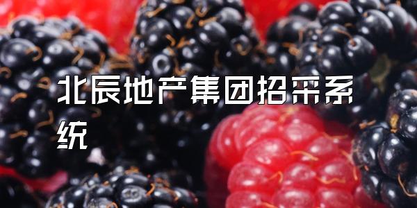北辰地产集团招采系统