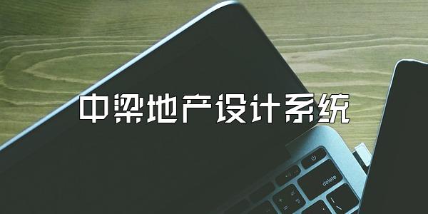 中梁地产设计系统