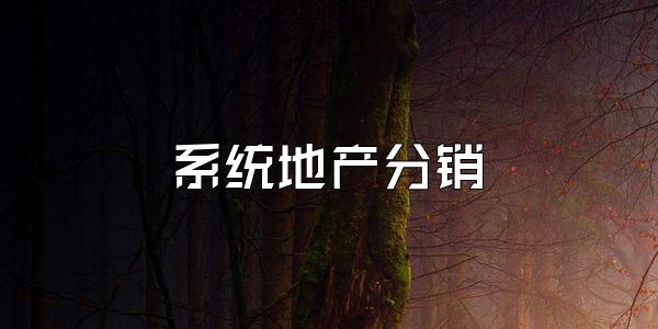 系统地产分销