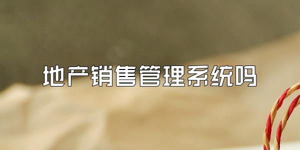 地产销售管理系统吗