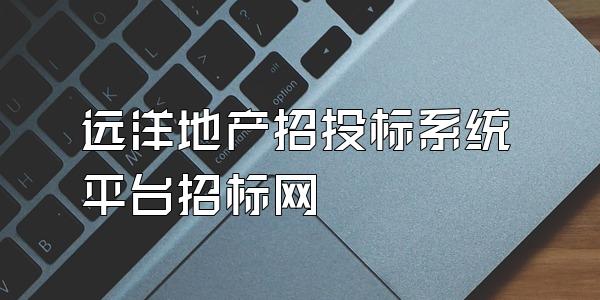 远洋地产招投标系统平台招标网