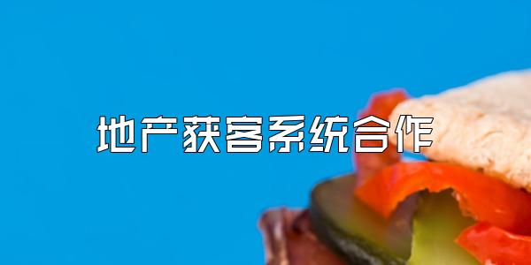 地产获客系统合作