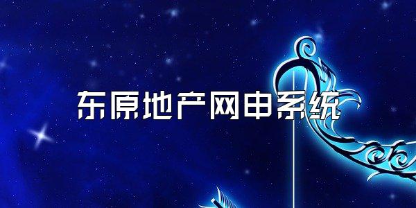 东原地产网申系统