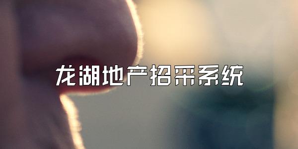 龙湖地产招采系统