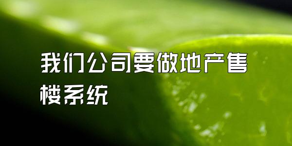 我们公司要做地产售楼系统
