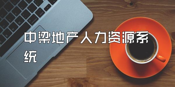 中梁地产人力资源系统