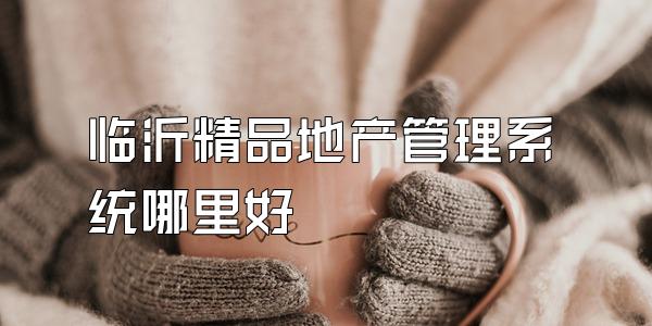 临沂精品地产管理系统哪里好