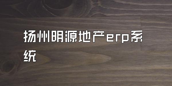 扬州明源地产erp系统
