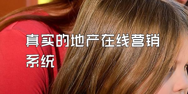 真实的地产在线营销系统