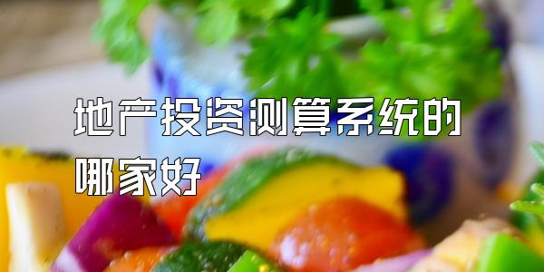 地产投资测算系统的哪家好