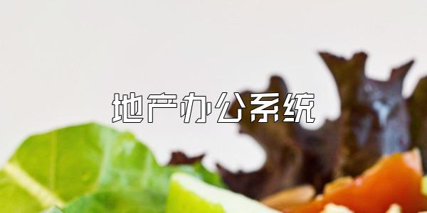 地产办公系统
