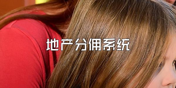 地产分佣系统