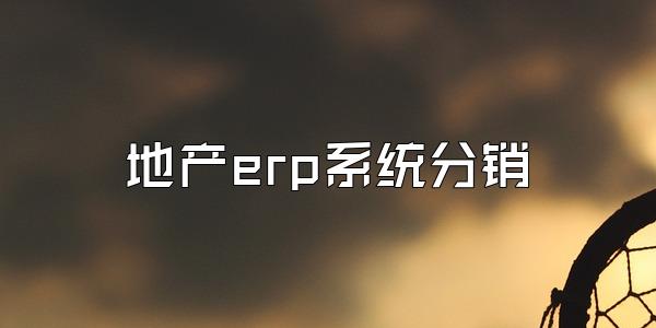地产erp系统分销