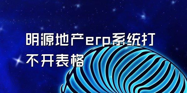 明源地产erp系统打不开表格