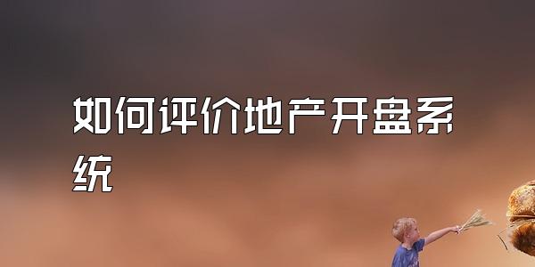 如何评价地产开盘系统