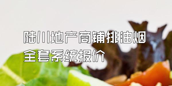 陆川地产商铺排油烟全套系统报价