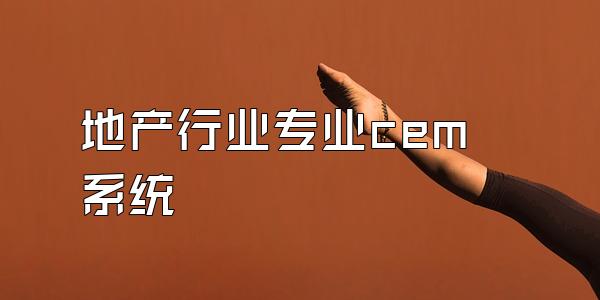 地产行业专业cem系统