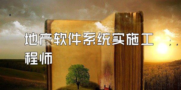 地产软件系统实施工程师