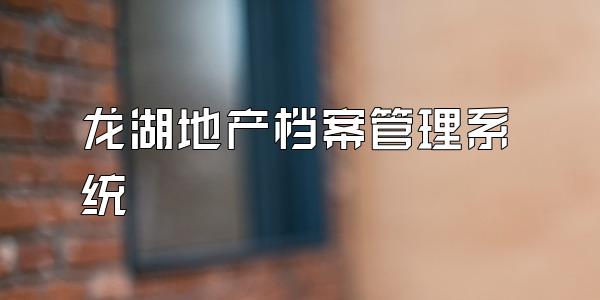 龙湖地产档案管理系统