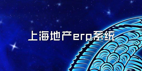 上海地产erp系统