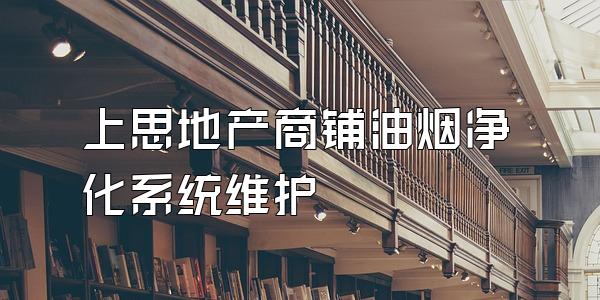 上思地产商铺油烟净化系统维护