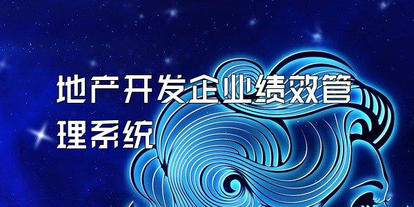 地产开发企业绩效管理系统