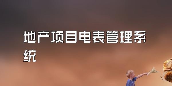 地产项目电表管理系统