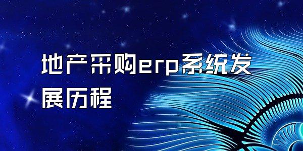 地产采购erp系统发展历程