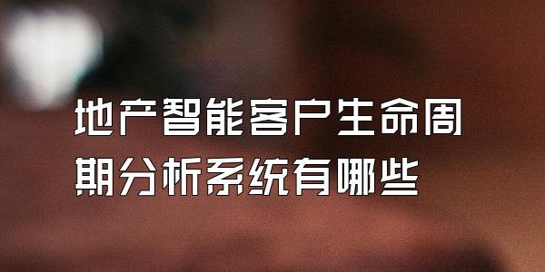 地产智能客户生命周期分析系统有哪些