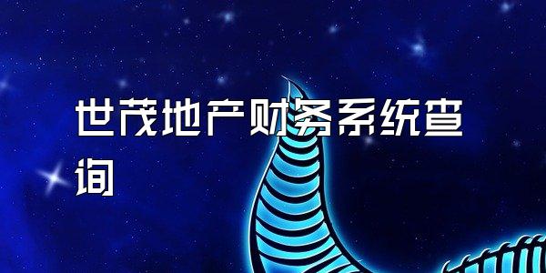 世茂地产财务系统查询