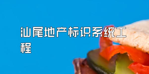 汕尾地产标识系统工程