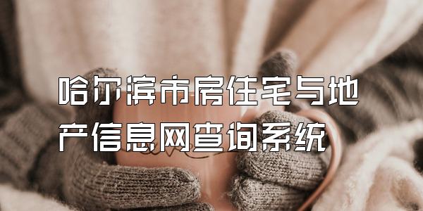 哈尔滨市房住宅与地产信息网查询系统