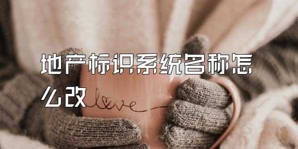 地产标识系统名称怎么改