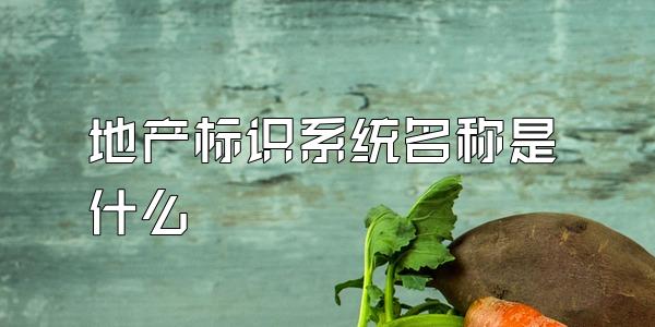 地产标识系统名称是什么